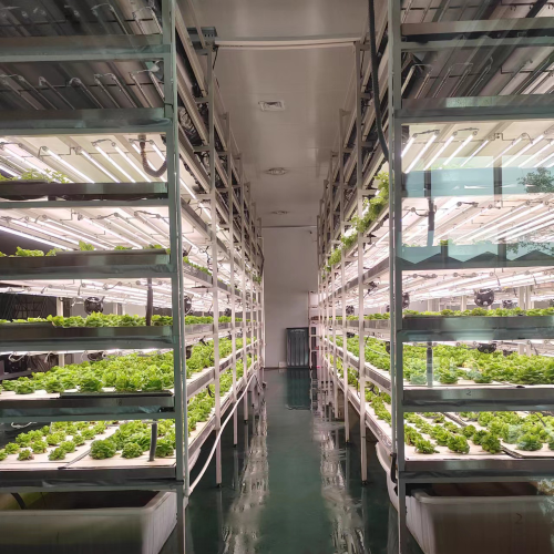 植物組培實驗室